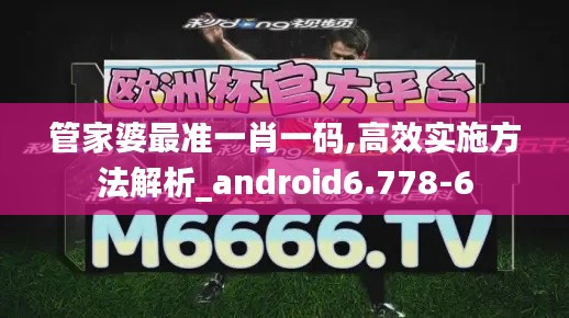 管家婆最准一肖一码,高效实施方法解析_android6.778-6