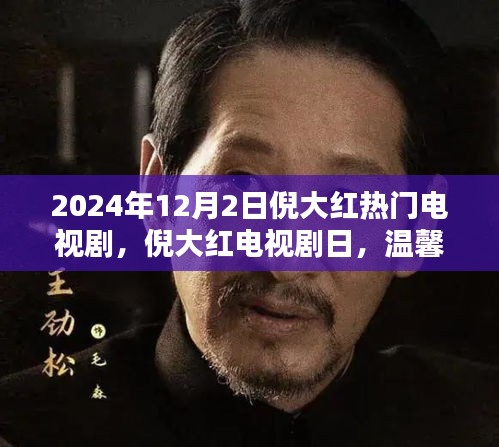 倪大红电视剧日，爱与陪伴的温馨家庭传递，2024年热播剧盘点