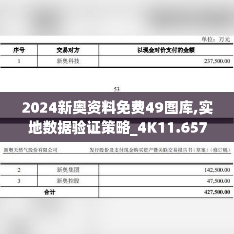 2024新奥资料免费49图库,实地数据验证策略_4K11.657-4