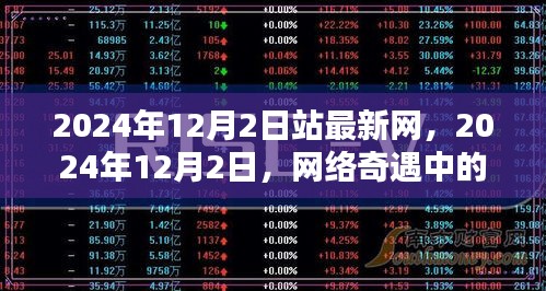 网络奇遇中的温情时光，2024年12月2日站最新网记录