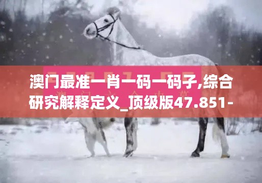 澳门最准一肖一码一码孑,综合研究解释定义_顶级版47.851-4