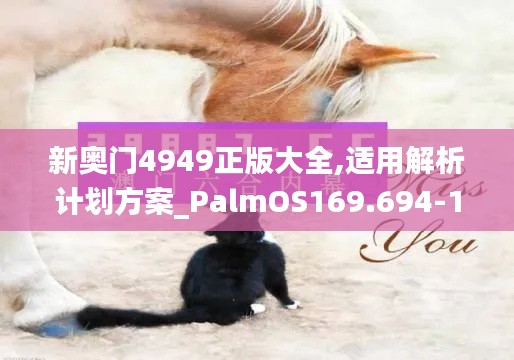 新奥门4949正版大全,适用解析计划方案_PalmOS169.694-1