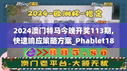 2024澳门特马今晚开奖113期,快速响应策略方案_Phablet187.465-9