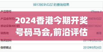 2024香港今期开奖号码马会,前沿评估说明_进阶版84.303-5