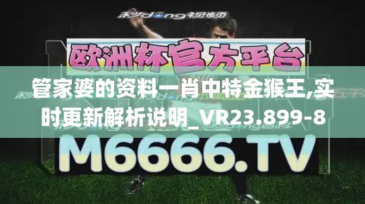 管家婆的资料一肖中特金猴王,实时更新解析说明_VR23.899-8