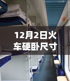 2024年12月3日 第29页