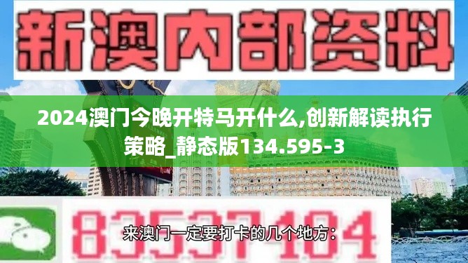 2024澳门今晚开特马开什么,创新解读执行策略_静态版134.595-3