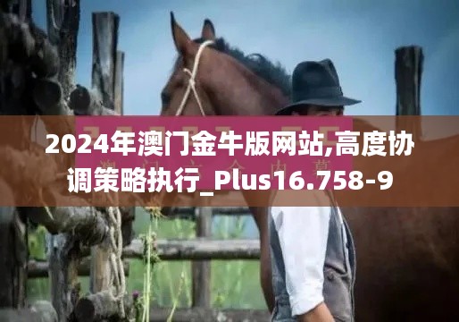 2024年澳门金牛版网站,高度协调策略执行_Plus16.758-9