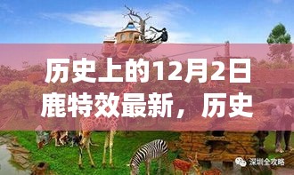 鹿特效传奇之旅，历史上的十二月二日最新回顾