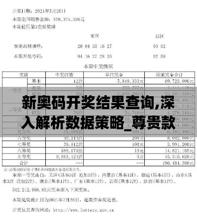 新奥码开奖结果查询,深入解析数据策略_尊贵款41.730-9