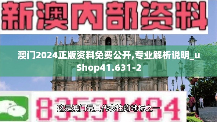 澳门2024正版资料免费公开,专业解析说明_uShop41.631-2