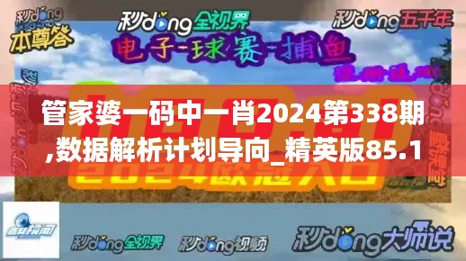 管家婆一码中一肖2024第338期,数据解析计划导向_精英版85.103-3