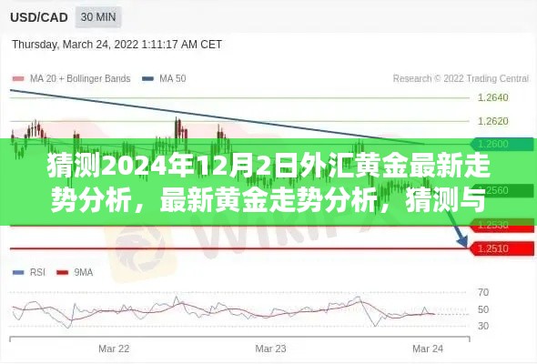 2024年12月2日黄金外汇走势预测与分析，策略制定指南