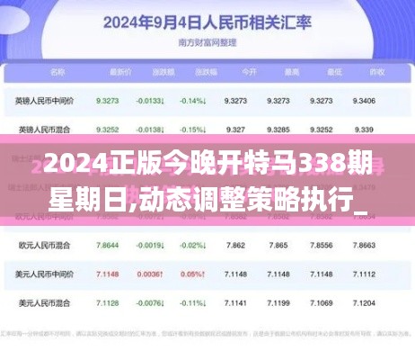 2024正版今晚开特马338期星期日,动态调整策略执行_挑战款3.482-7