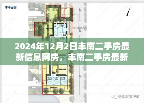 2024年12月3日 第18页