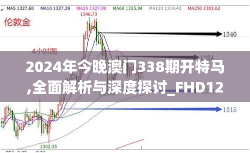 2024年今晚澳门338期开特马,全面解析与深度探讨_FHD12.901-4