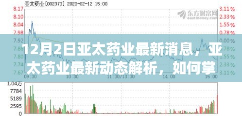 2024年12月3日 第13页