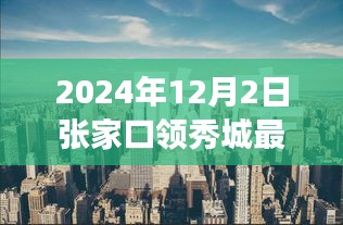 2024年12月3日 第12页