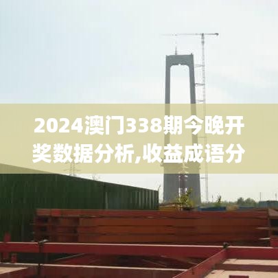 2024澳门338期今晚开奖数据分析,收益成语分析落实_HarmonyOS46.261-7