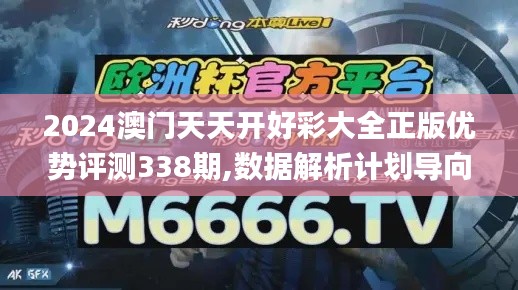 2024澳门天天开好彩大全正版优势评测338期,数据解析计划导向_特供版10.870-4