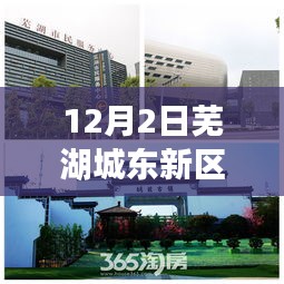 芜湖城东新区发展动态深度解析与观点阐述——12月2日最新资讯