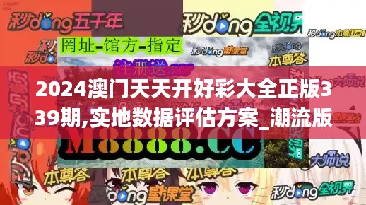 2024澳门天天开好彩大全正版339期,实地数据评估方案_潮流版77.395-9