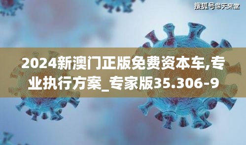 2024新澳门正版免费资本车,专业执行方案_专家版35.306-9