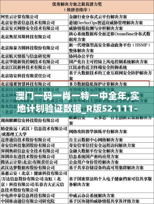 澳门一码一肖一特一中全年,实地计划验证数据_R版52.111-5