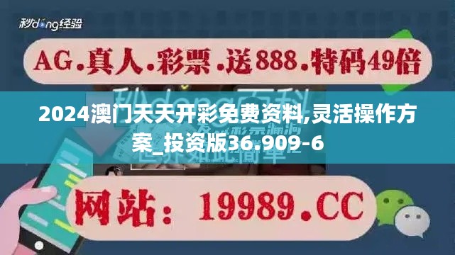 2024澳门天天开彩免费资料,灵活操作方案_投资版36.909-6