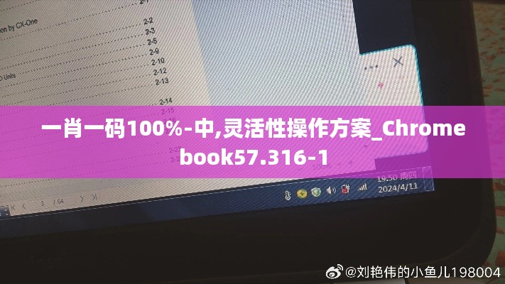 一肖一码100%-中,灵活性操作方案_Chromebook57.316-1