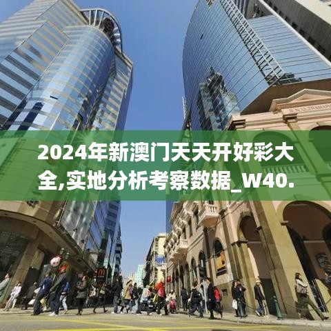 2024年新澳门天天开好彩大全,实地分析考察数据_W40.440-7