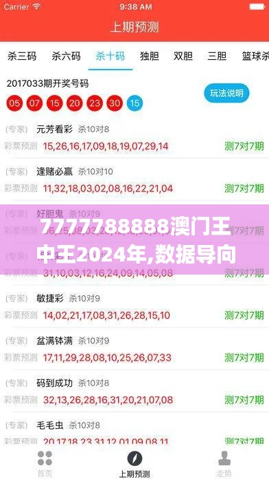 7777788888澳门王中王2024年,数据导向策略实施_精英款22.162-8