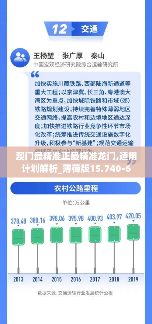 澳门最精准正最精准龙门,适用计划解析_薄荷版15.740-6