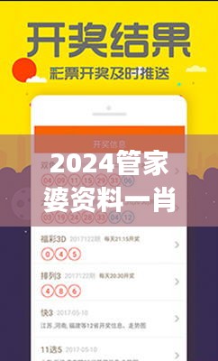 2024管家婆资料一肖,实地数据分析计划_YE版32.875-1