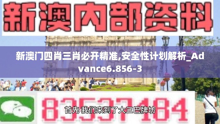 新澳门四肖三肖必开精准,安全性计划解析_Advance6.856-3