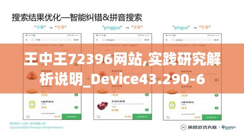 王中王72396网站,实践研究解析说明_Device43.290-6