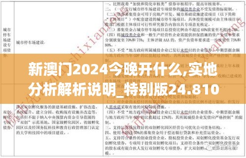 新澳门2024今晚开什么,实地分析解析说明_特别版24.810-3