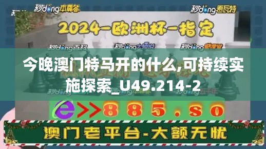 今晚澳门特马开的什么,可持续实施探索_U49.214-2