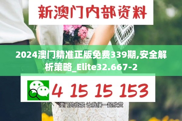 2024澳门精准正版免费339期,安全解析策略_Elite32.667-2