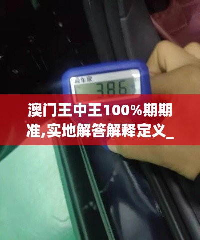 澳门王中王100%期期准,实地解答解释定义_nShop92.935-9