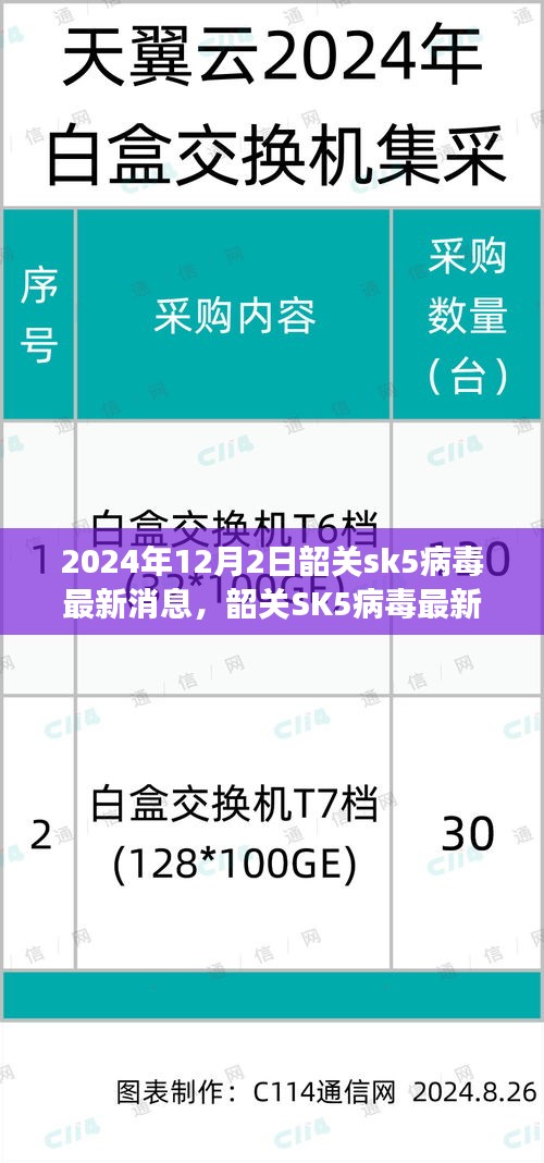 韶关SK5病毒最新消息揭秘，背景、进展与影响分析（2024年）