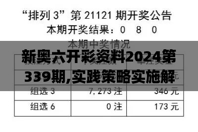 新奥六开彩资料2024第339期,实践策略实施解析_投资版57.699-4