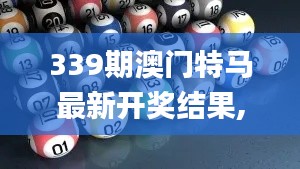 339期澳门特马最新开奖结果,实地数据评估设计_优选版48.635-5