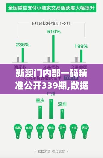 新澳门内部一码精准公开339期,数据整合方案实施_10DM130.694-2