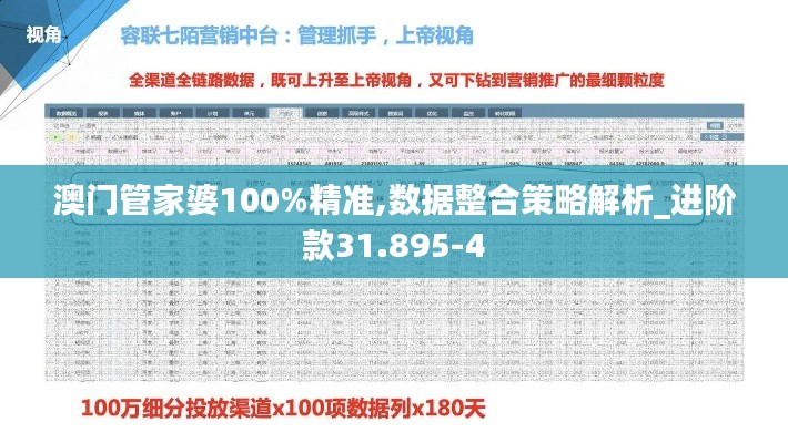 澳门管家婆100%精准,数据整合策略解析_进阶款31.895-4