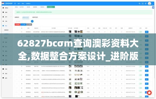 62827bcσm查询澳彩资料大全,数据整合方案设计_进阶版15.991-6