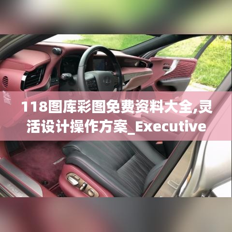 118图库彩图免费资料大全,灵活设计操作方案_Executive125.322-7