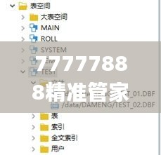 77777888精准管家婆免费,数据导向策略实施_创新版48.135-8