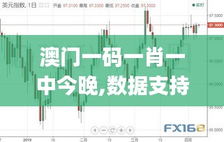 2024年12月4日 第41页