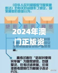 2024年澳门正版资料全年灬,精细设计解析策略_Max9.667-2